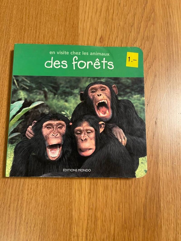 En visite chez les animaux des forêts