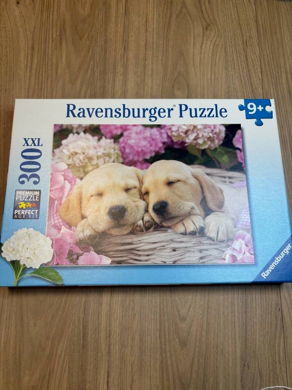 300 pièces // chiots