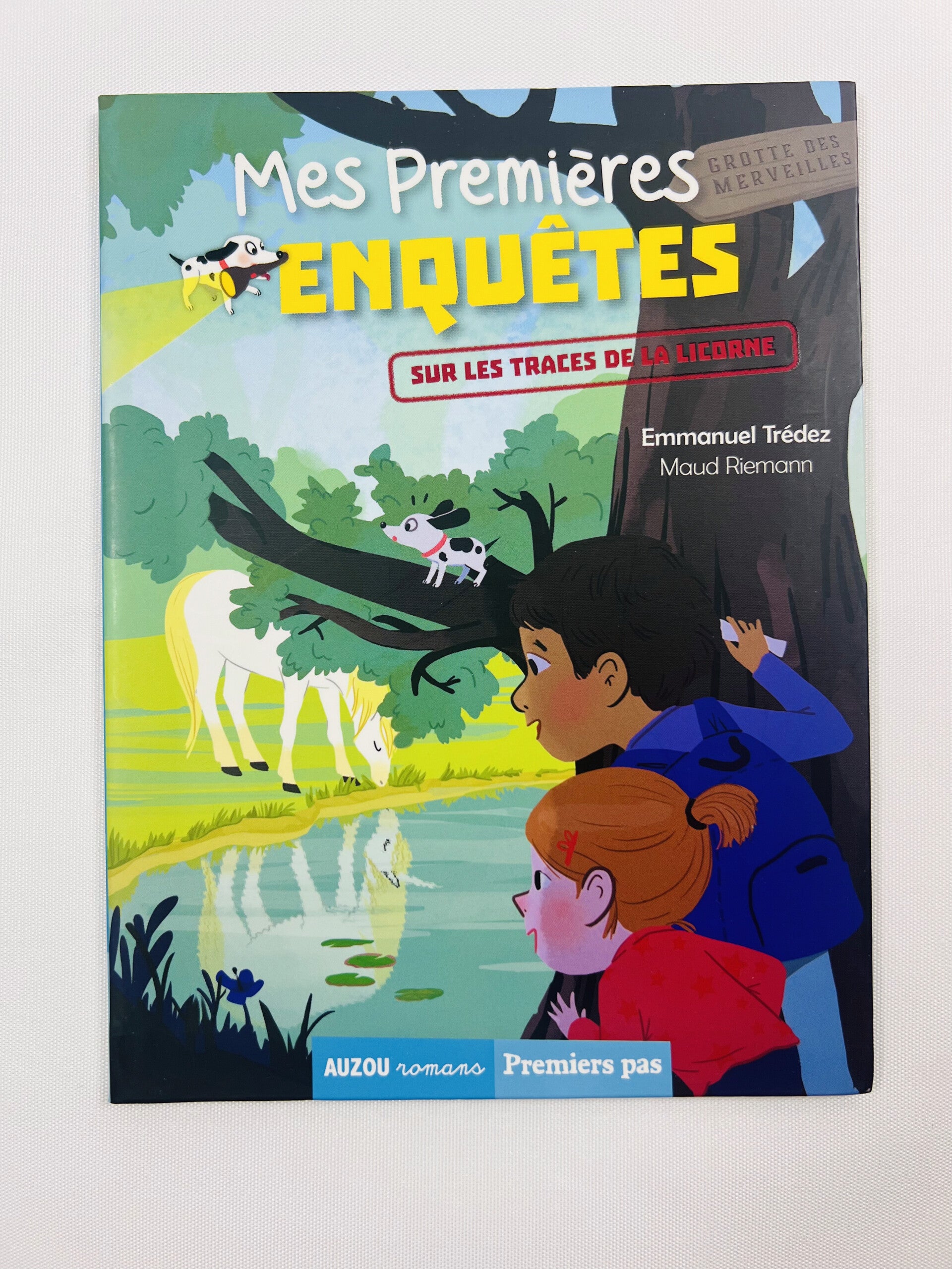 Mes premières enquêtes - Sur les traces de la licorne