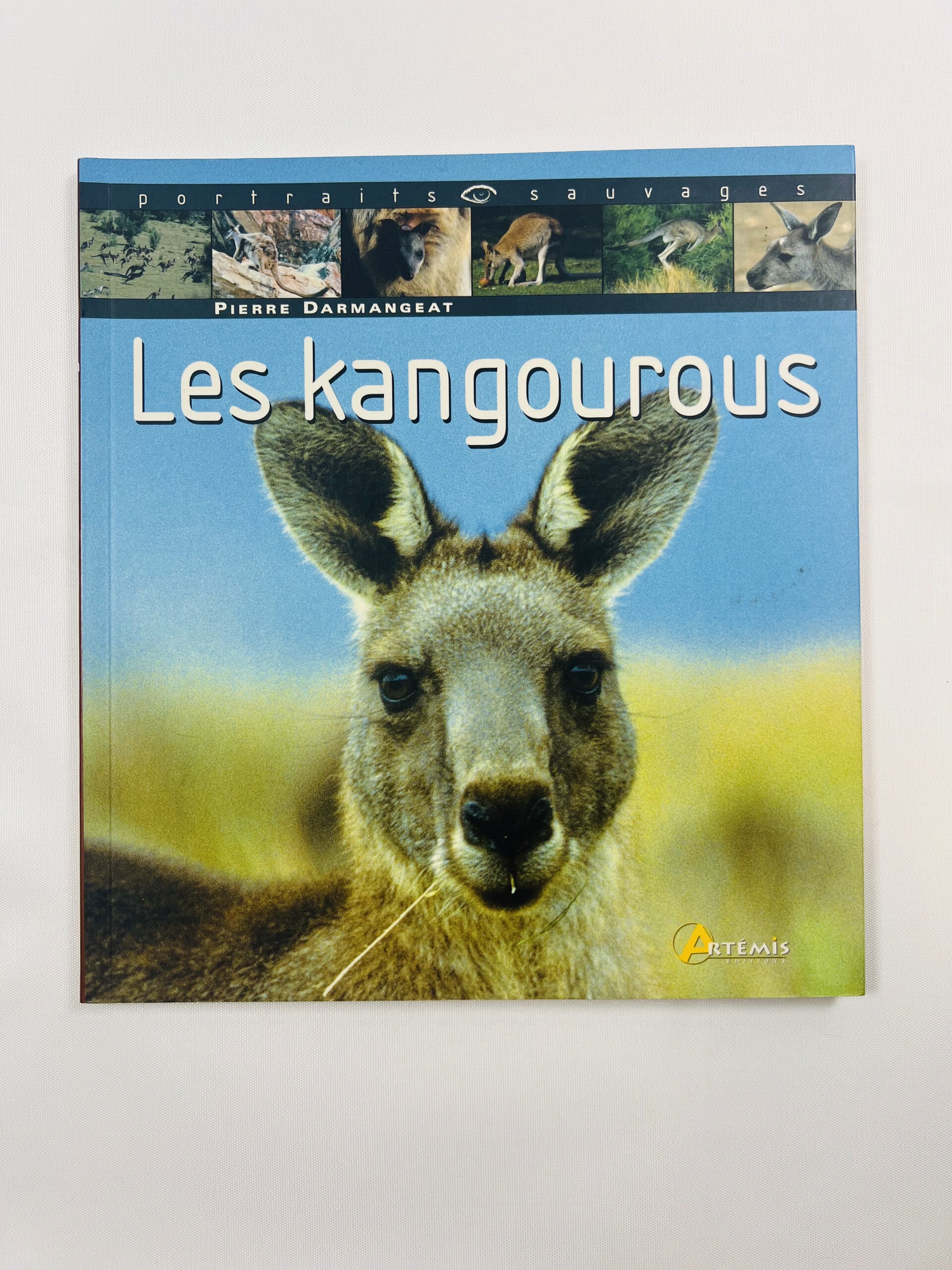 Les kangourous