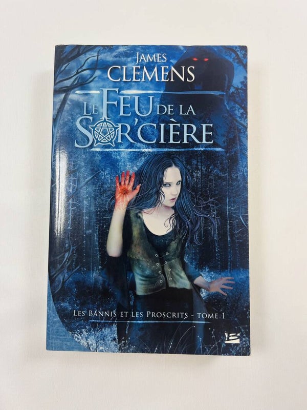 Le feu de la sorcière - Tome 1
