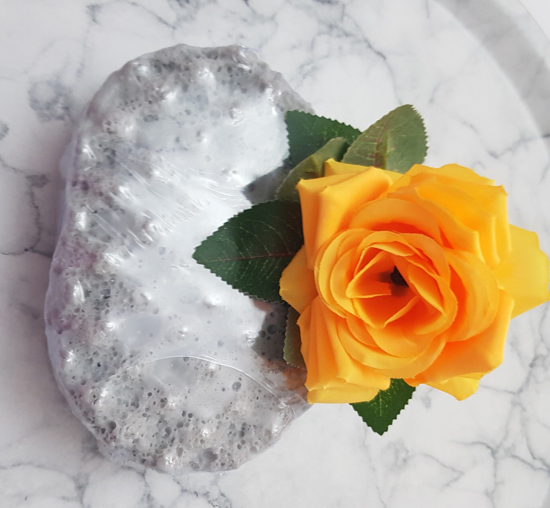 Creedence Soap Sponge