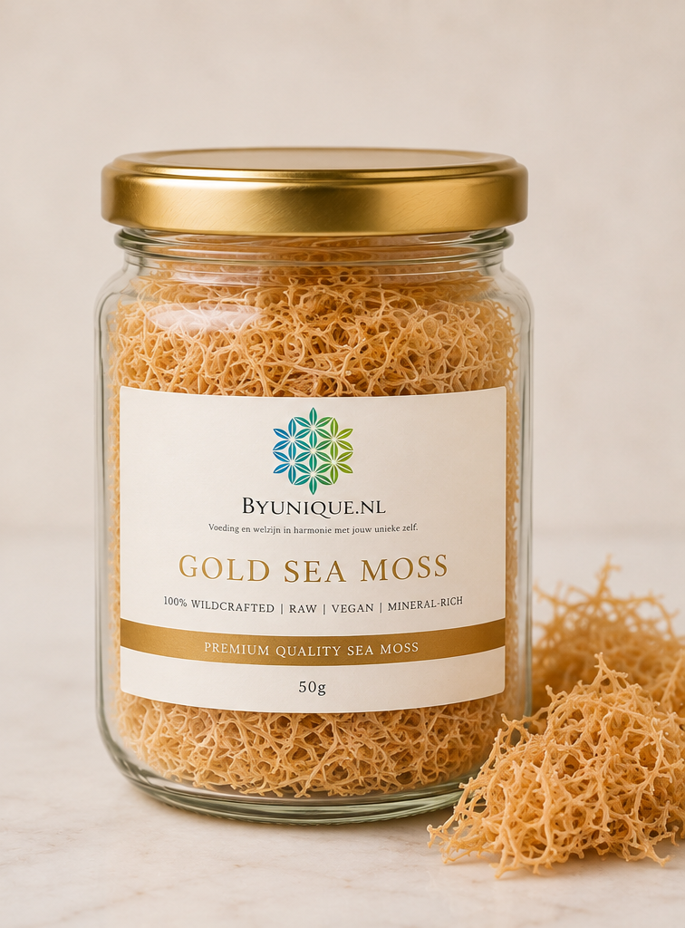 100% Organic wildcrafted seamoss chondrus crispus gold