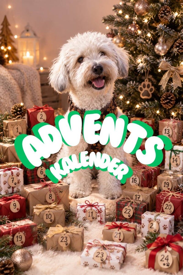 ADVENTS KALENDER 🎄❄️