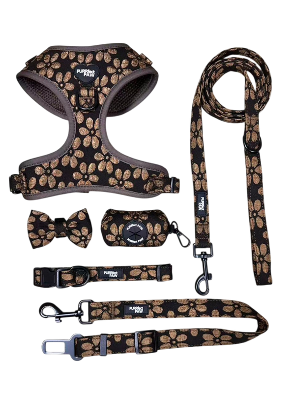 flower harness bruin