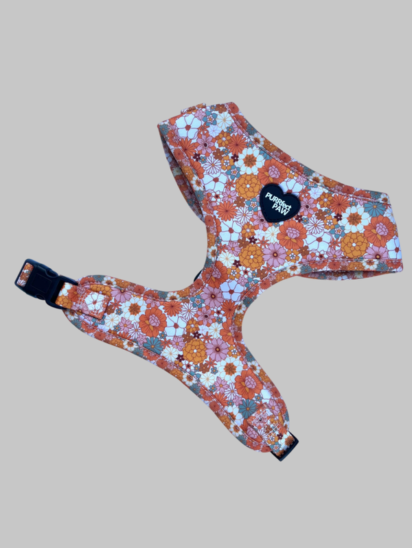 Back to the 70's harness