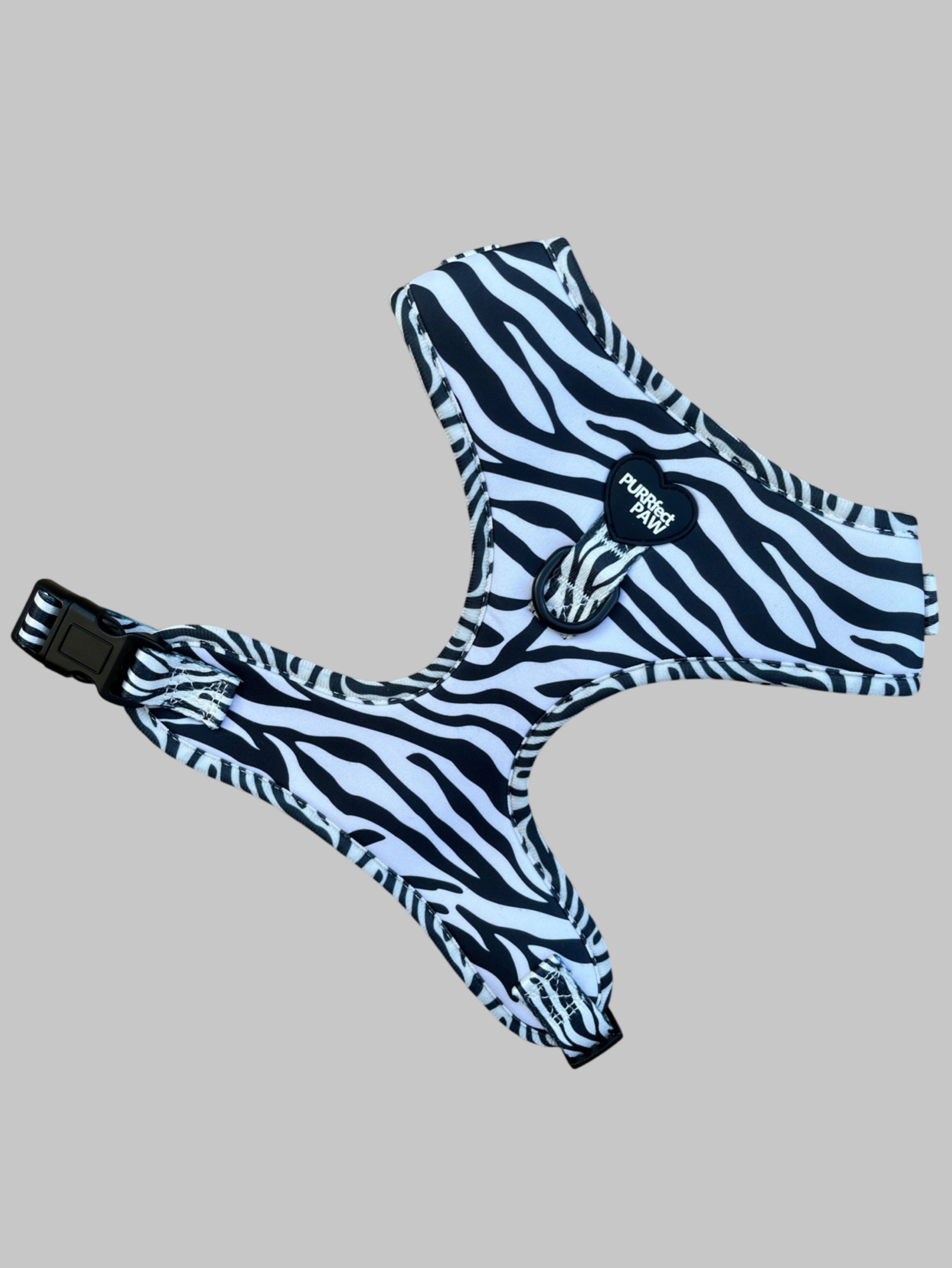 Zebra harnass