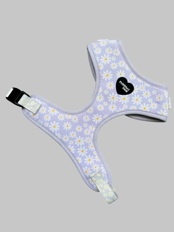 Sunflower daisy harness