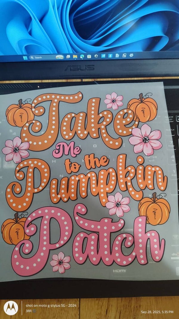 pumpkin patch dtf