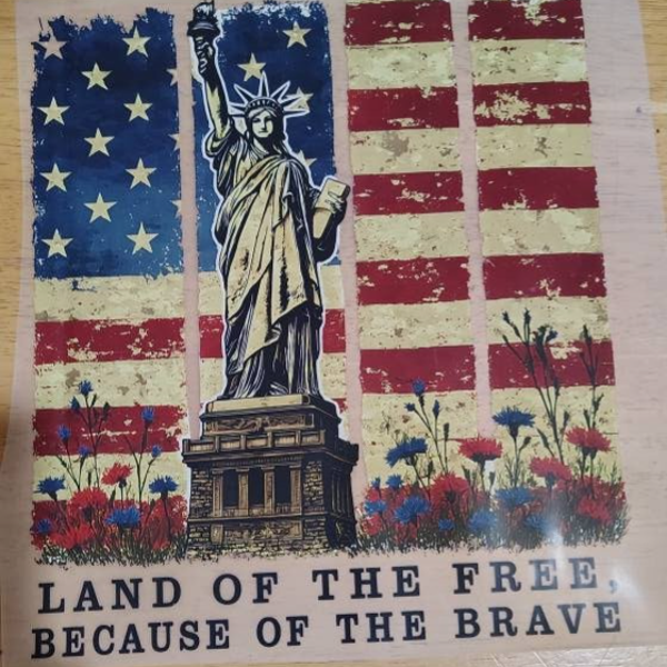 Land of the free because of the brave DTF print