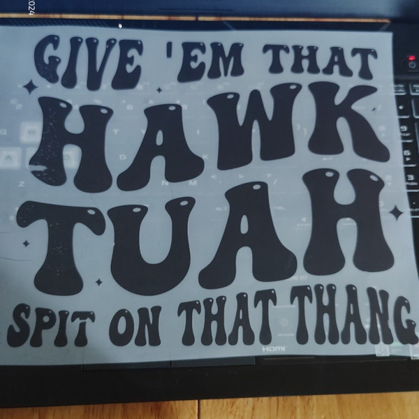 Give em that Hawk tuah and spit on that thing dtf