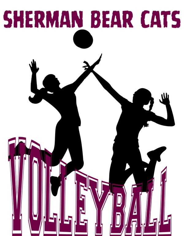 sherman volleyball dtf prints
