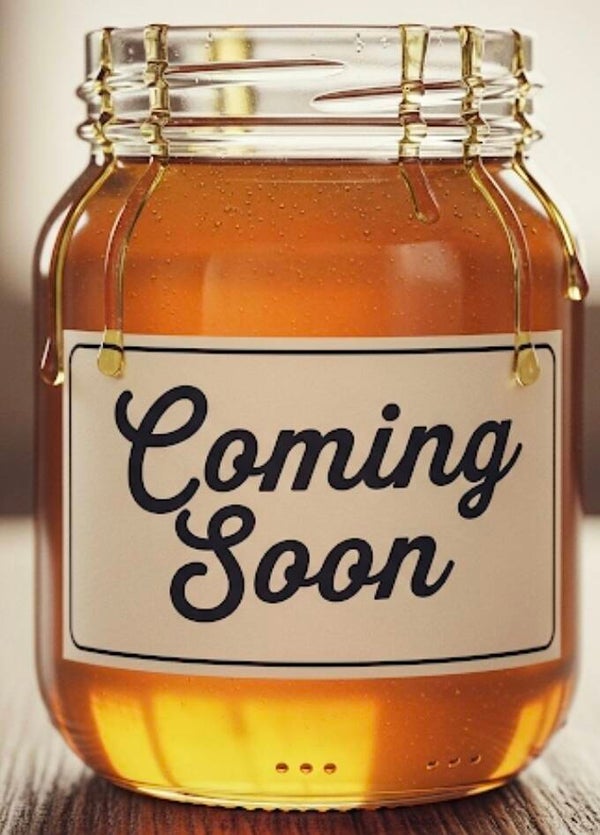 HONEYBEE! Waldtracht Honig - 500g *coming soon*