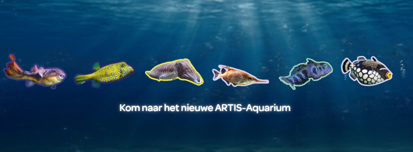 www.uitgaanonline.com