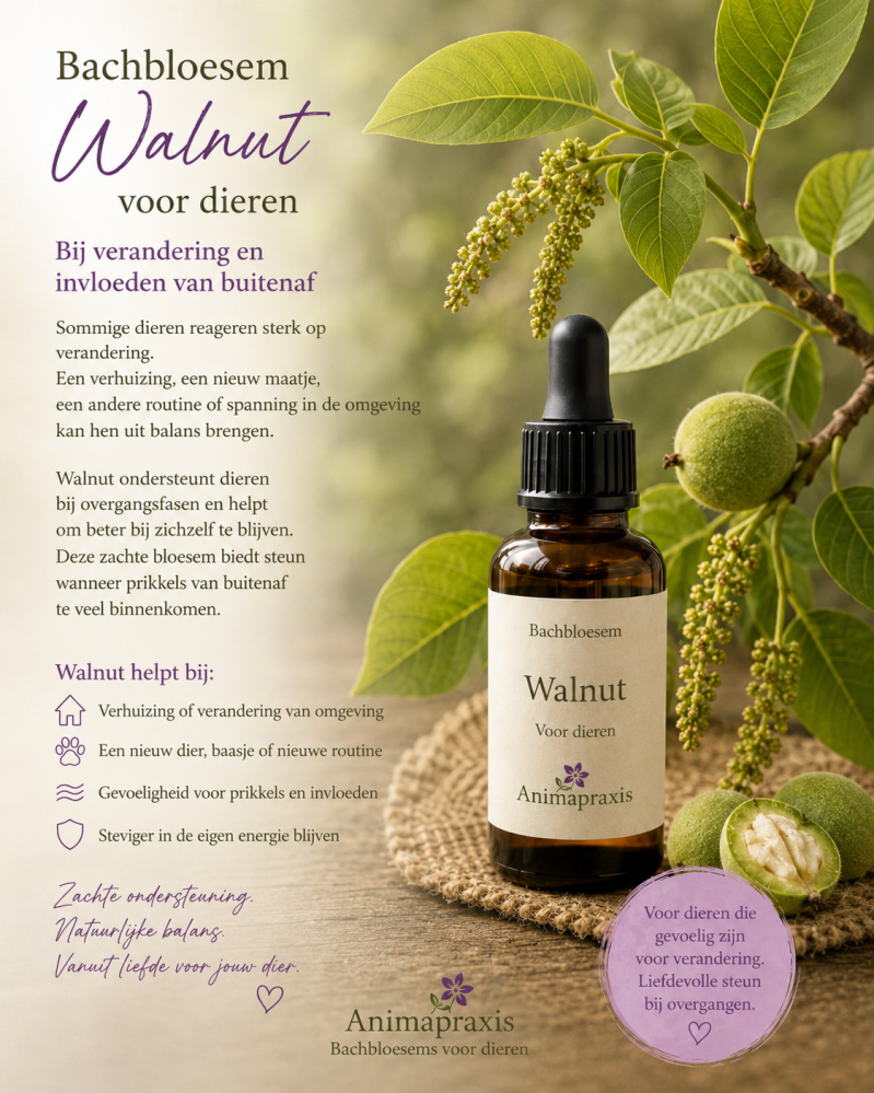 Bachbloesem Walnut 