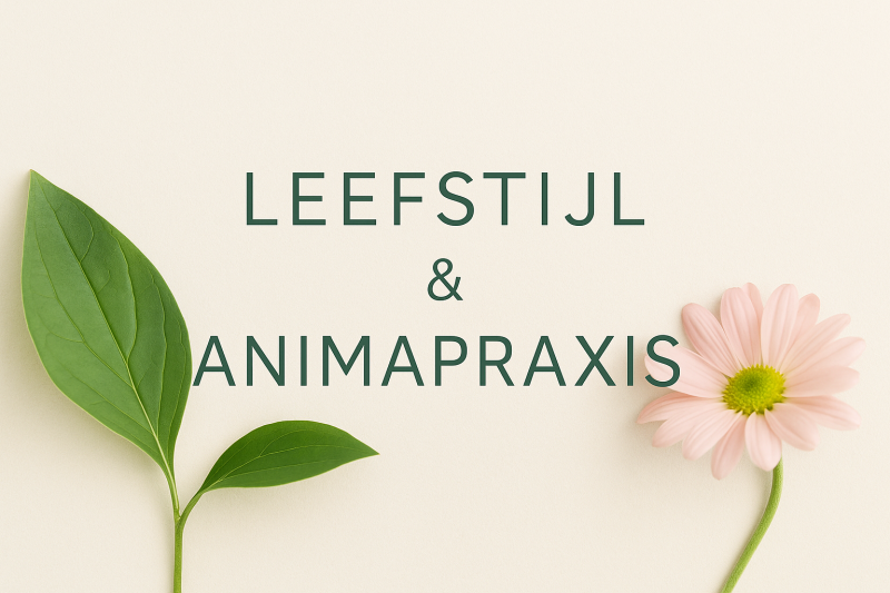 Leefstijl met AnimaPraxis 