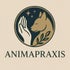 Animapraxis