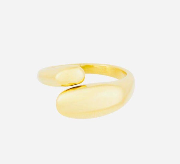 Ring Wikkel