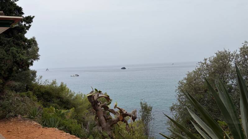 img_1318-standard.jpg
