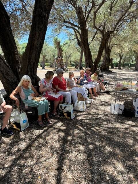 img_8566-standard-42ppow.jpg