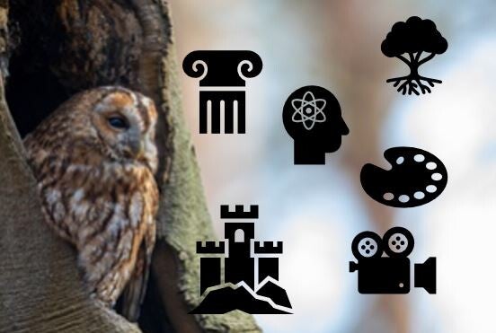 Thematische wandelgidsen