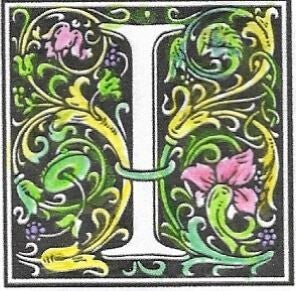 Wandelen in Noord-Holland