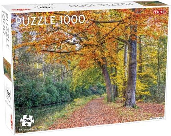 Puzzel Pathway by a Canal