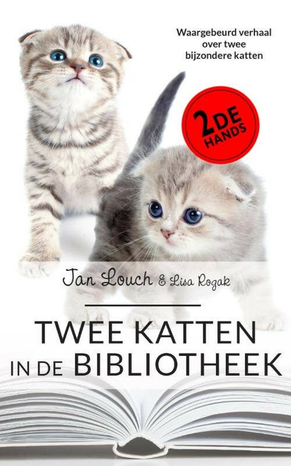 Twee katten in de bibliotheek