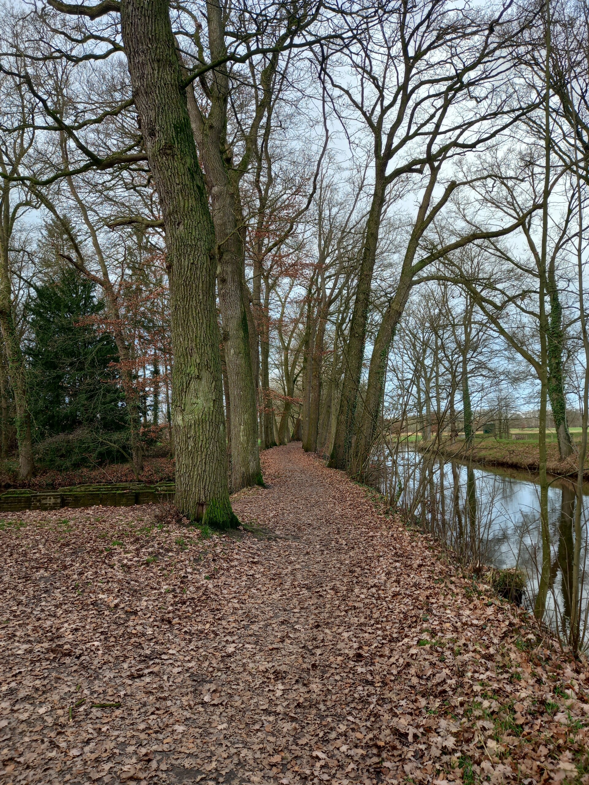Prettige Feestdagen en een Gelukkig en Gezond 2026!