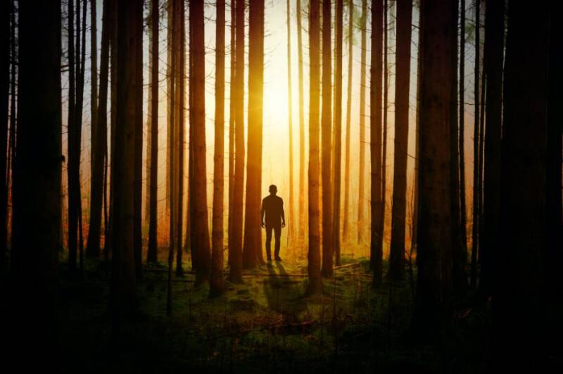 Thrillers en detectives