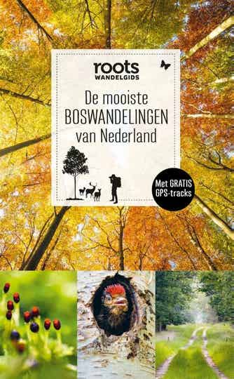 Wandelgids De mooiste boswandelingen van Nederland