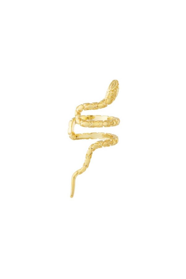 Ear cuff slang patroon