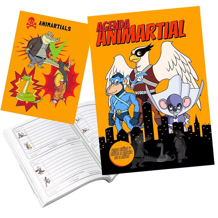 programa infantil artes marciales