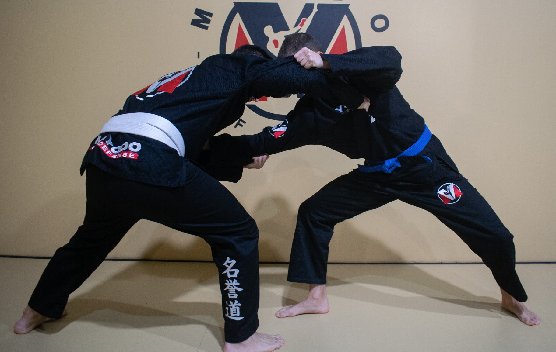 Brazilian Jiu Jitsu BJJ adultos niños sant feliu de llobregat