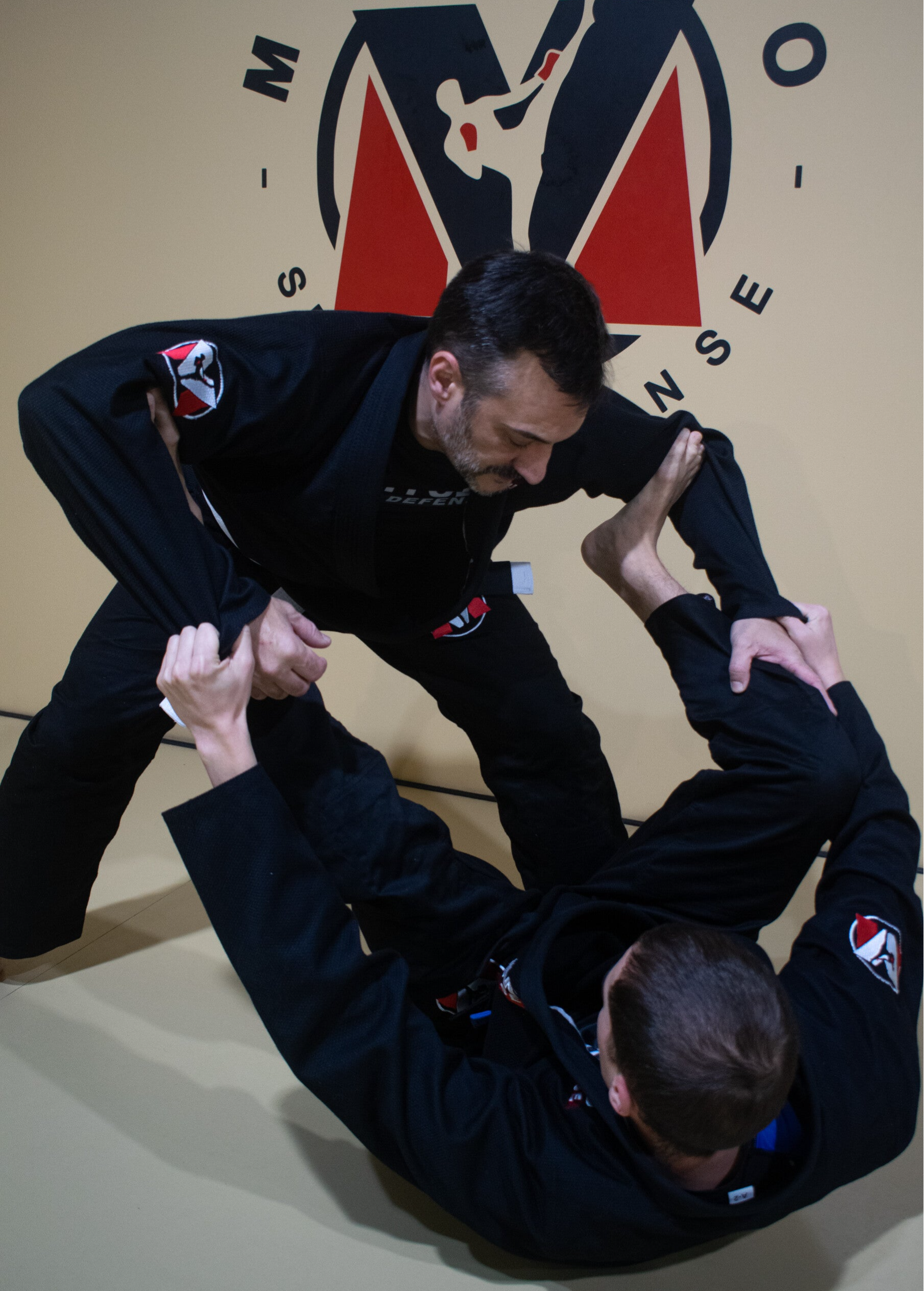 brazilian jiu jitsu sant feliu llobregat