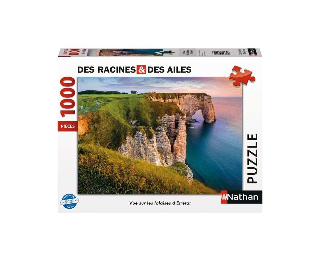 Vue sur les falaises d'Etretat