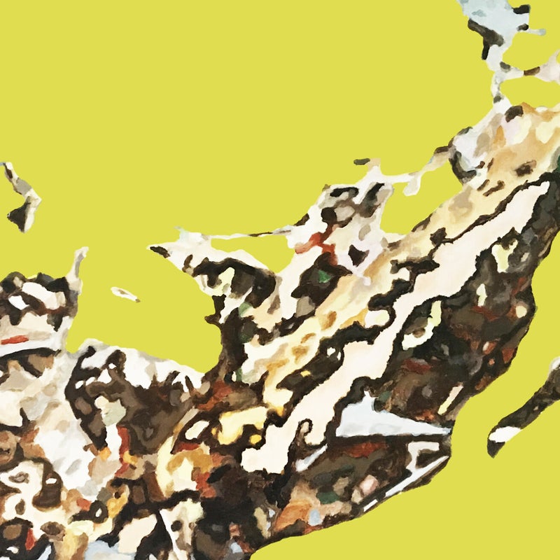 Hipocampus, 90x130cm, Acrylic on canvas. Private Collection