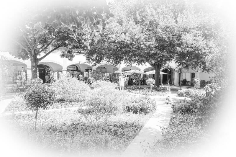 Zwart-wit parkfoto met schaduwspel van bomen – stadstuin in zomerlicht