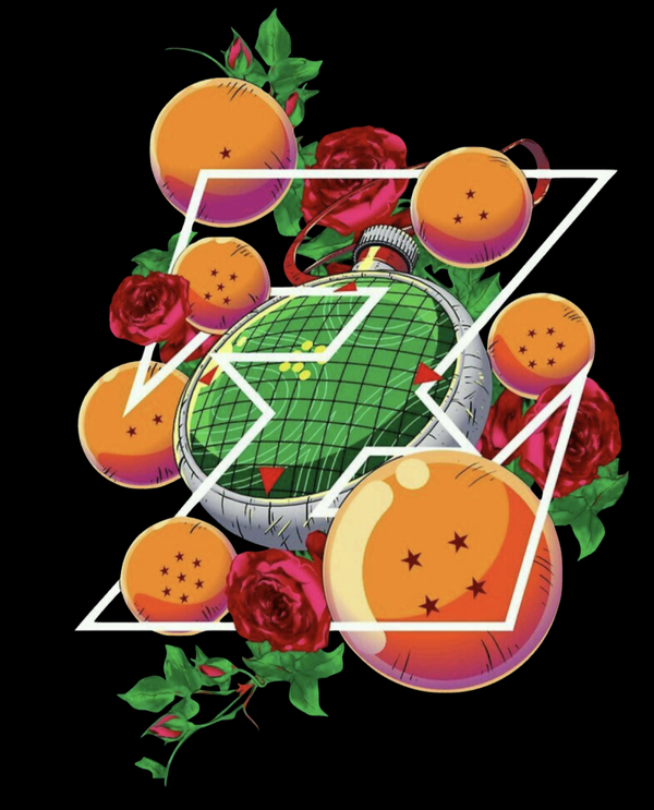 DBZ BOULES