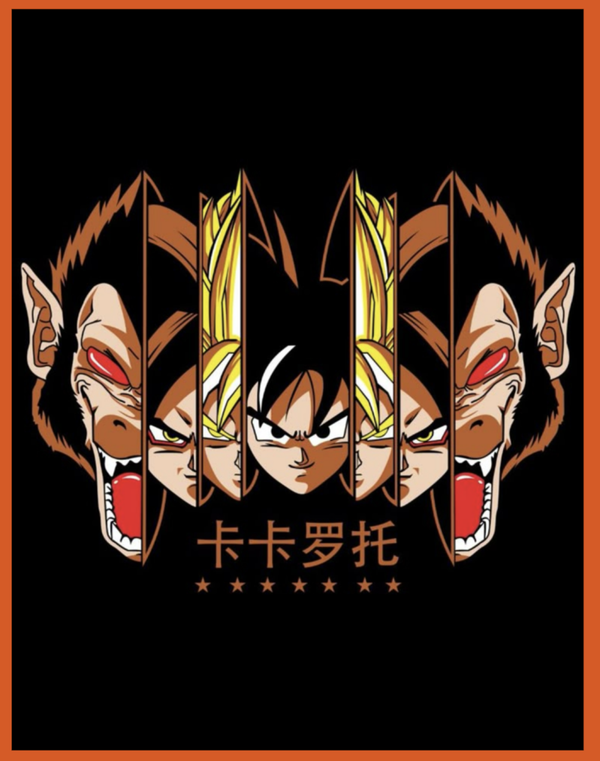 DBZ SINGE