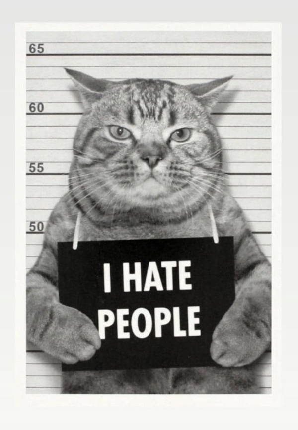 I HATE PEOPLE