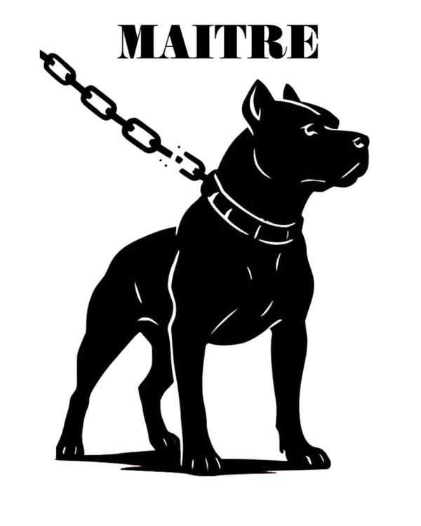 MAITRE DOG