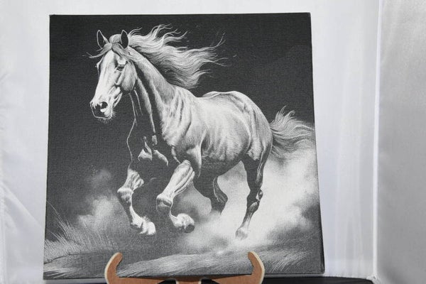 Cheval 1