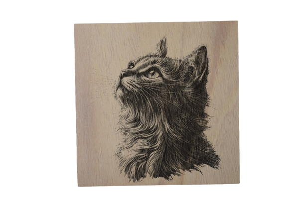 animal de compagnie