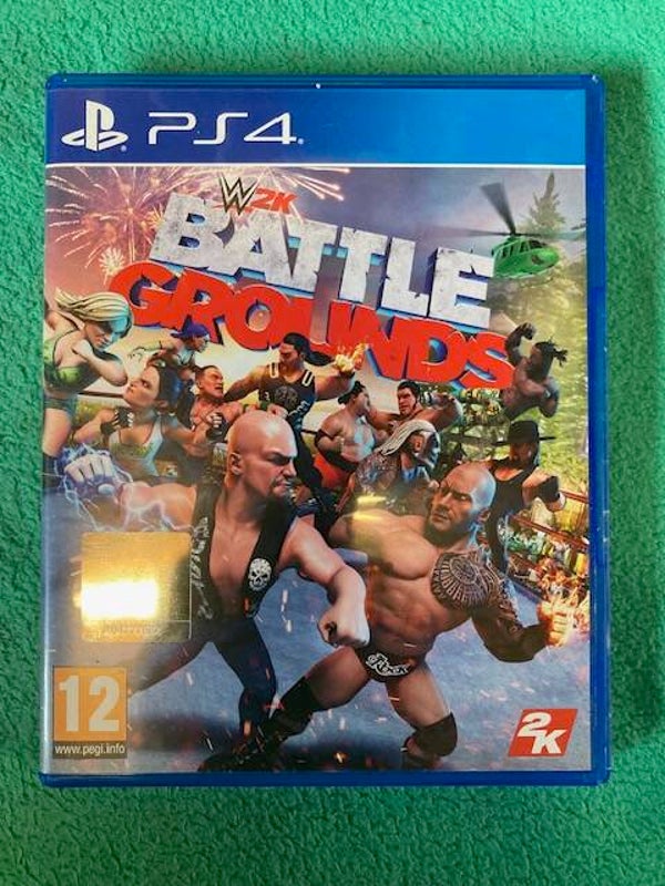 Battle Gounds PS4