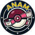 anamation studios