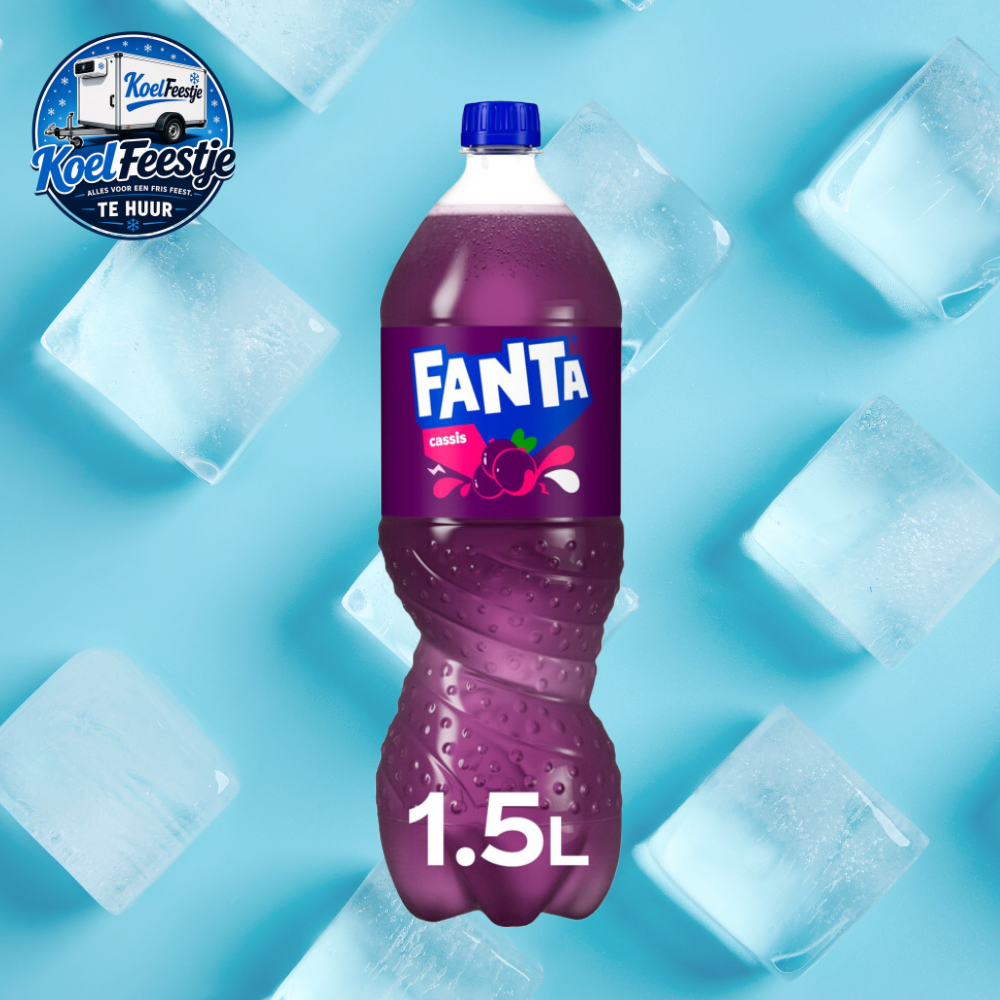 Fanta Casis 1,5 l