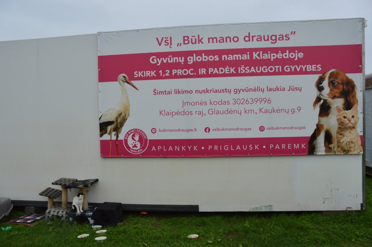 Kontakt | Katzenhilfe- buk Mano draugas