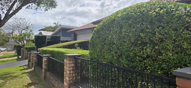 Aged care and retirement community hedge maintenance Gold Coast