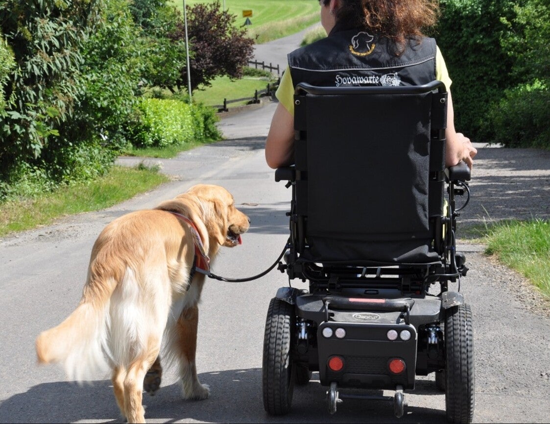 EIn Golden Retriever läuft an lockerer Leine entspannt neben einer im Rollstuhl sitzenden Frau her. Sie gehen einen Feldweg entlang.